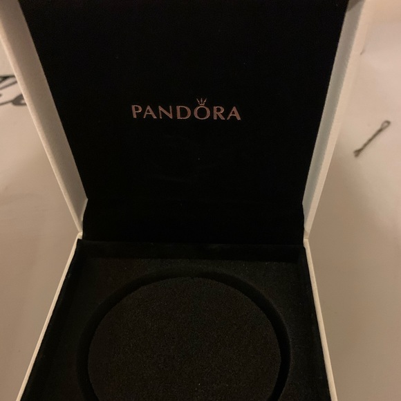 NEW Double Braided Leather Pandora Charm Bracelet - Picture 4 of 5